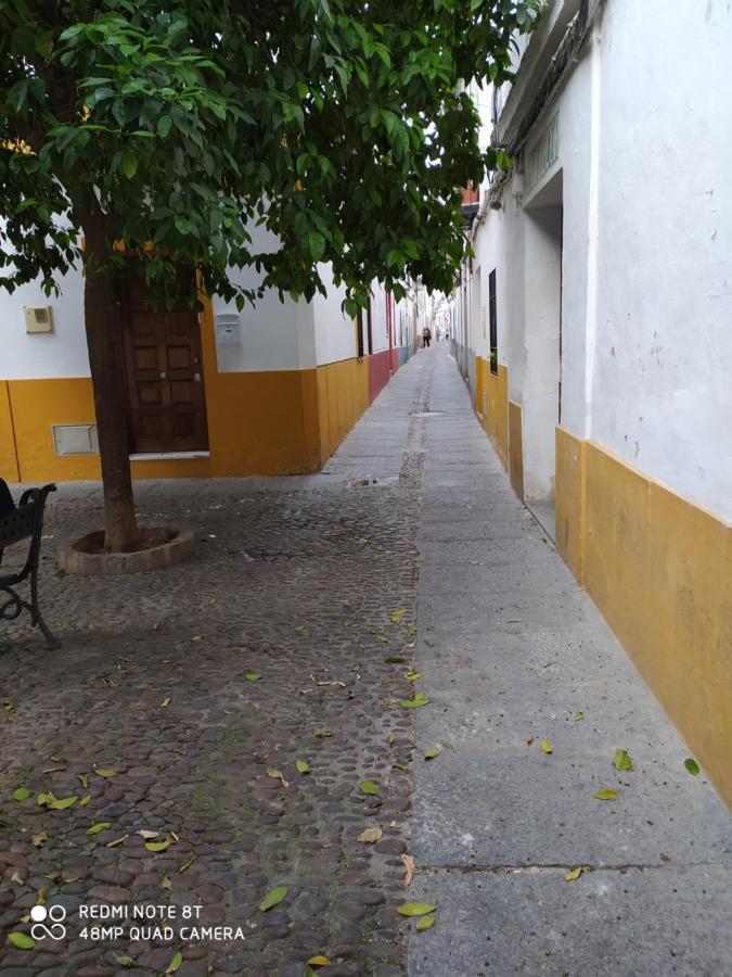 Alojamiento Casa Tipica De Cordoba Exterior photo